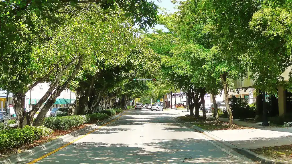 View of Coral Way, Miami