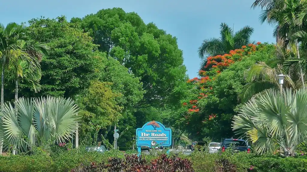 View of The Roads, Miami